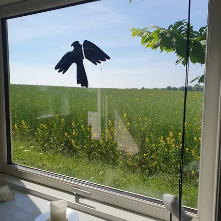 Hyttan Holiday home